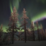 The Magic of the Russian North – Polar Lights near Novy Urengoy