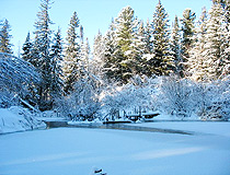 Winter in Tomsk Oblast